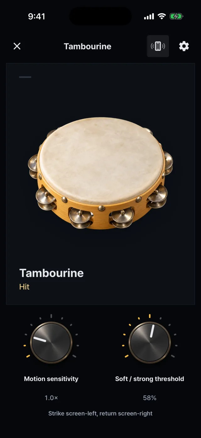 Tambourine: motion and touch together